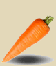 морковь вниз
